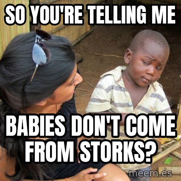 Skeptical 3rd World Kid meme: So you're telling me / Babies don't come from storks?