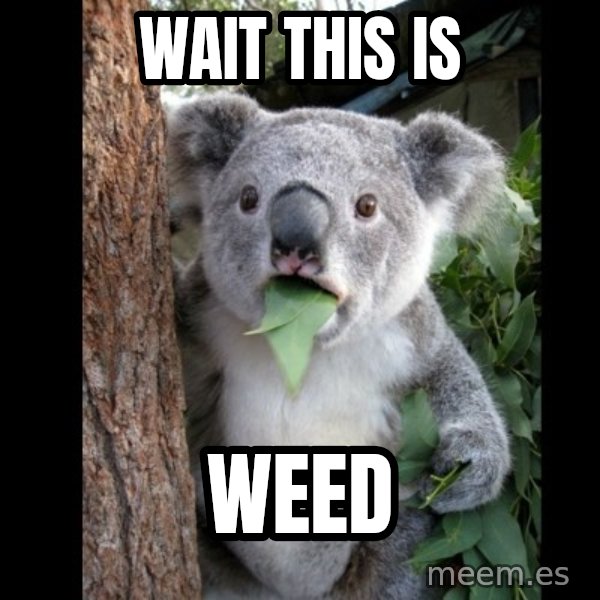 Koala can't believe it meme: wait this is / WEED