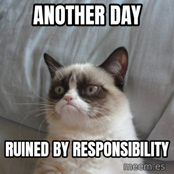 Grumpy cat good meme: another day / ruined by responsibility