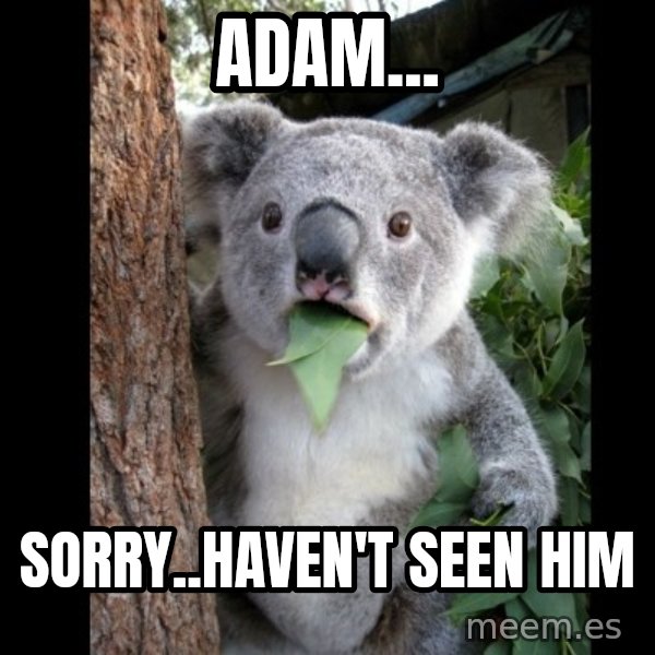 Koala can't believe it meme: Adam... / Sorry..haven't seen him