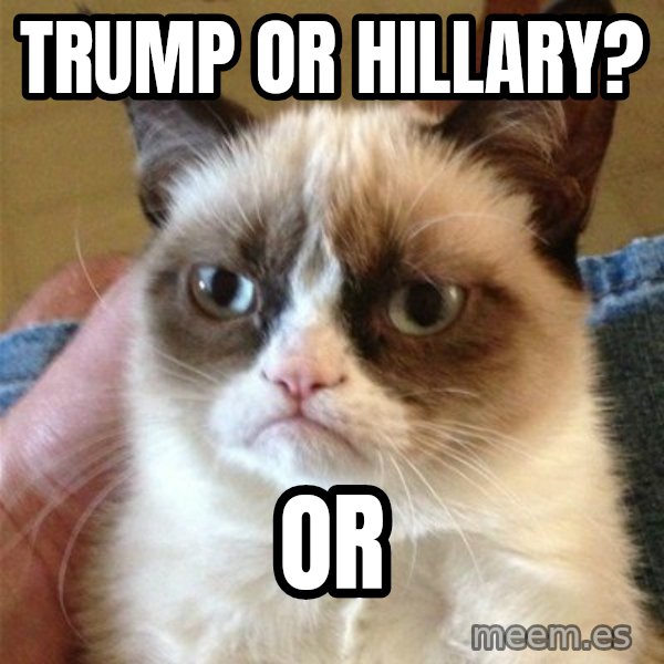 Grumpy Cat  meme: Trump or Hillary? / Or