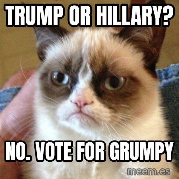 Grumpy Cat  meme: Trump or Hillary? / No. vote for grumpy