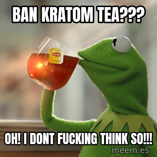 Kermit The Frog Drinking Tea meme: Ban kratom tea??? / oh! i dont fucking think so!!!