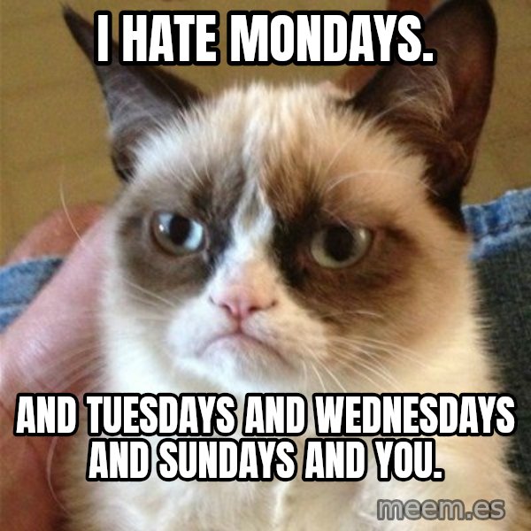 Grumpy Cat  meme: I hate mondays. / And Tuesdays and Wednesdays and sundays and you.