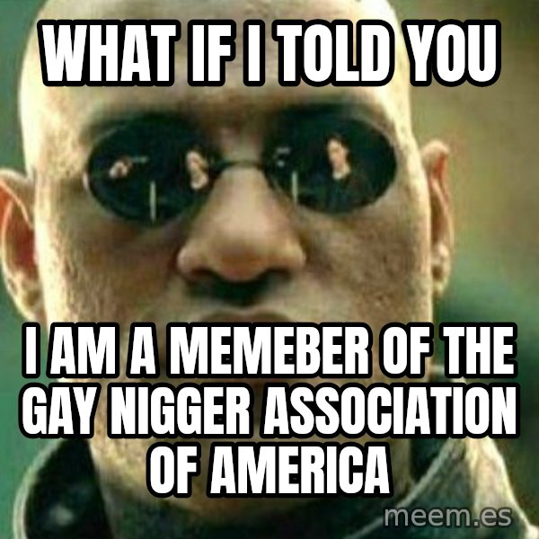 What If I Told You meme: What If I Told You / I am a memeber of the gay nigger association of america