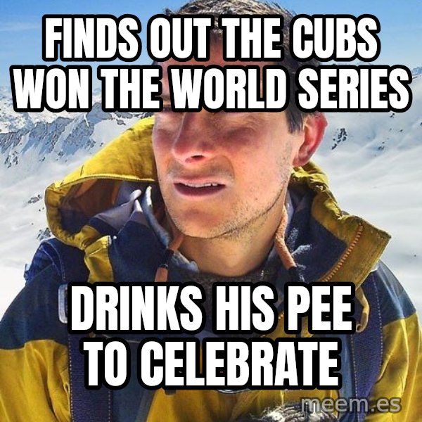 Bear Grylls meme: finds out the Cubs Won The World Series / drinks his pee to celebrate