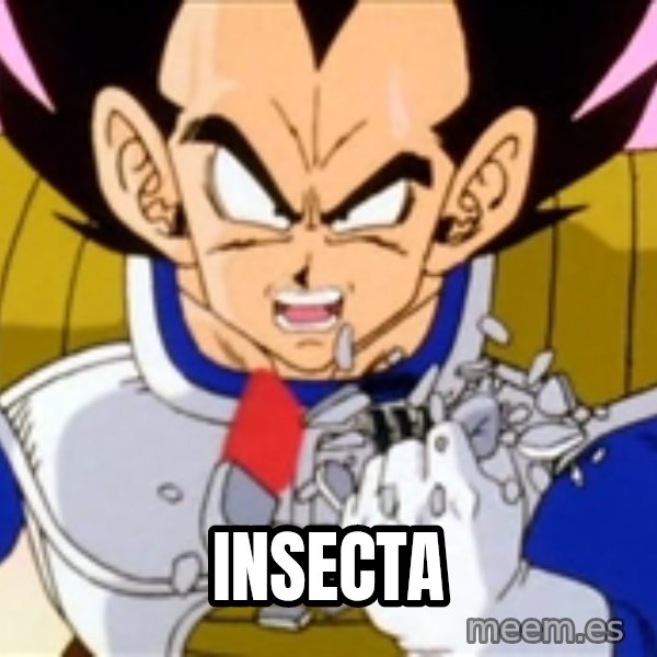 Over 9000 meme: Insecta