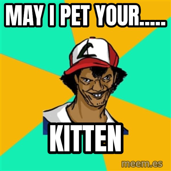 Ash Pedreiro meme: may i pet your..... / kitten