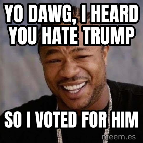 Yo Dawg meme: Yo Dawg, I heard you hate Trump / So I voted for him
