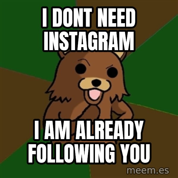 Pedobear meme: i dont need instagram / i am already following you