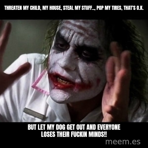 joker mind loss meme: Threaten my child, my house, steal my stuff.., pop my tires, that's O.K. / but let my dog get out and everyone loses their fuckin minds!!