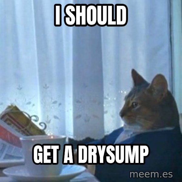 newspaper cat realization meme: I should / Get a drysump
