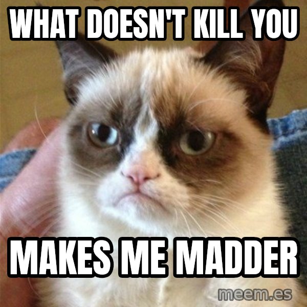 Grumpy Cat  meme: what doesn't kill you / makes me madder