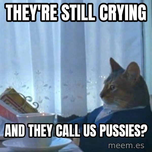 newspaper cat realization meme: They're still crying / And they call us pussies?