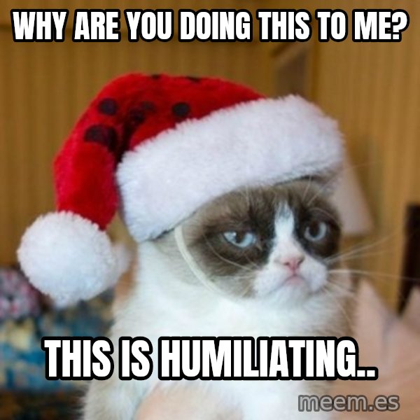 Grumpy Cat Santa Hat meme: Why are you doing this to me? / This is humiliating..