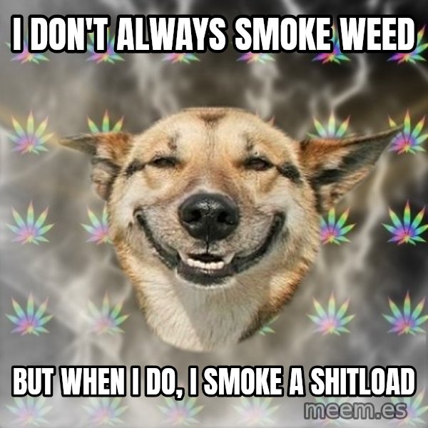 Stoner Dog meme: I don't always smoke weed / but when I do, I smoke a shitload