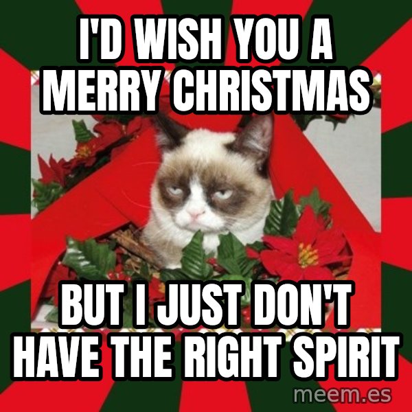 GRUMPY CAT ON CHRISTMAS meme: I'd wish you a merry christmas / But I just don't have the right spirit