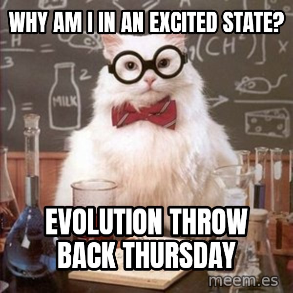 Chemistry Cat meme: Why am I in an excited state? / Evolution Throw Back Thursday