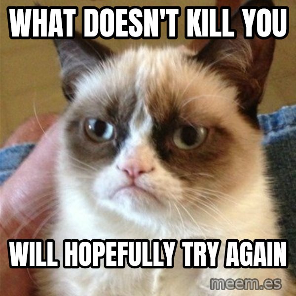 Grumpy Cat  meme: what doesn't kill you / will hopefully try again