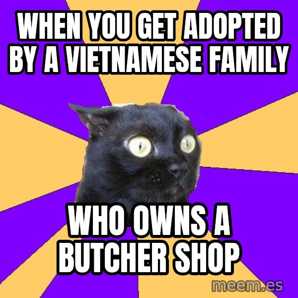 Anxiety Cat meme: When you get adopted by a vietnamese family / who owns a butcher shop