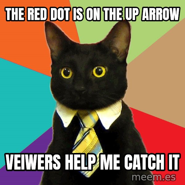 Business Cat meme: The red dot is on the up arrow / veiwers help me catch it