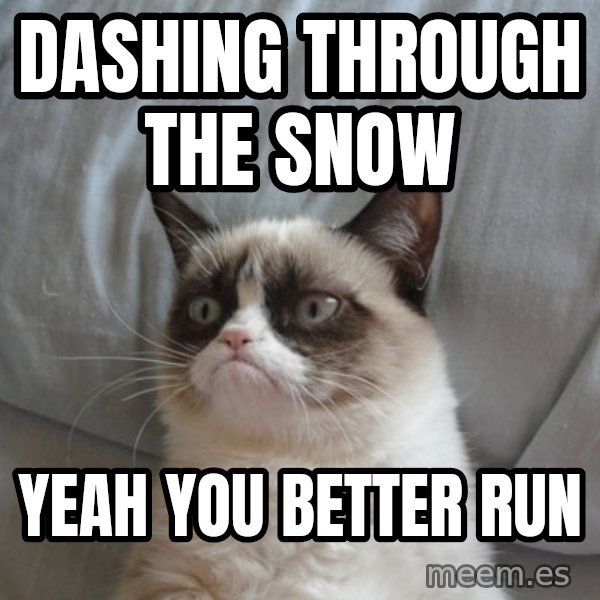 Grumpy Cat  meme: Dashing Through the Snow / Yeah you better run
