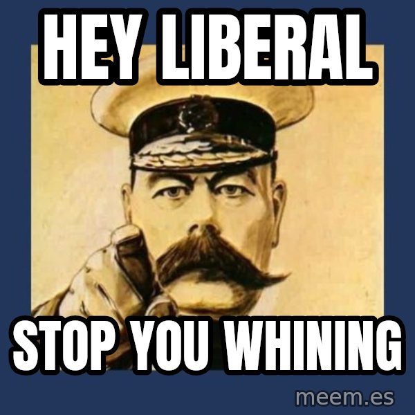 your country needs you meme: hey liberal / stop you whining