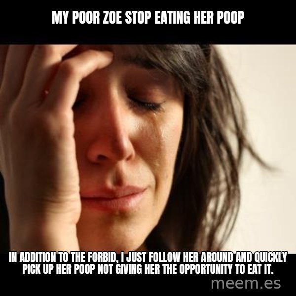 crying girl sad meme: my poor Zoe stop eating her poop / In addition to the Forbid, I just follow her around and quickly pick up her poop not giving her the opportunity to eat it.