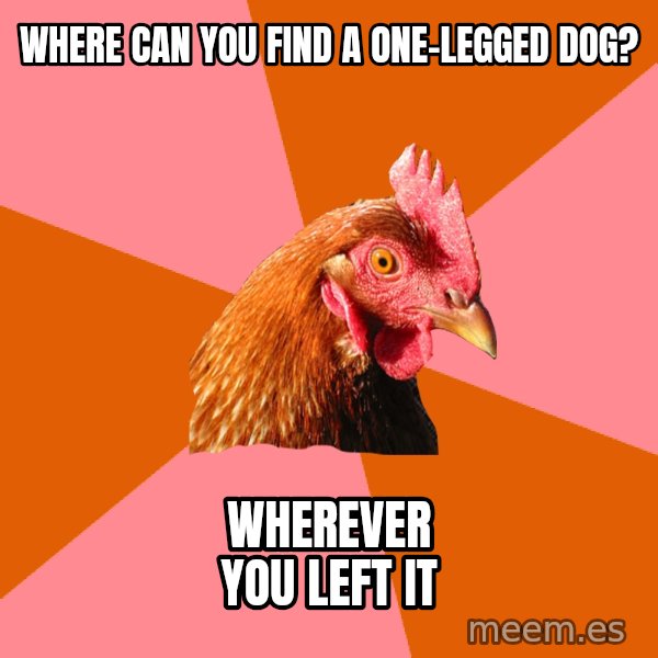 Anti Joke Chicken meme: Where can you find a one-legged dog? / Wherever you left it