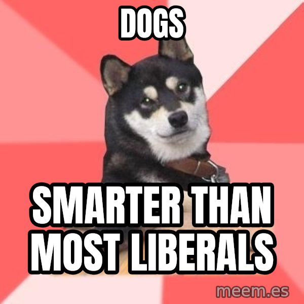 Cool Dog meme: dogs / smarter than most liberals