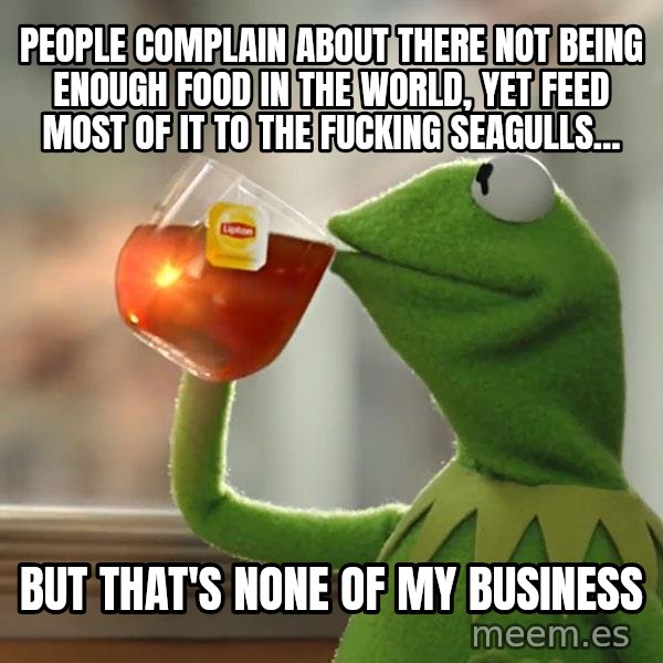 Kermit The Frog Drinking Tea meme: people complain about there not being enough food in the world, yet feed most of it to the fucking seagulls... / but that's none of my business