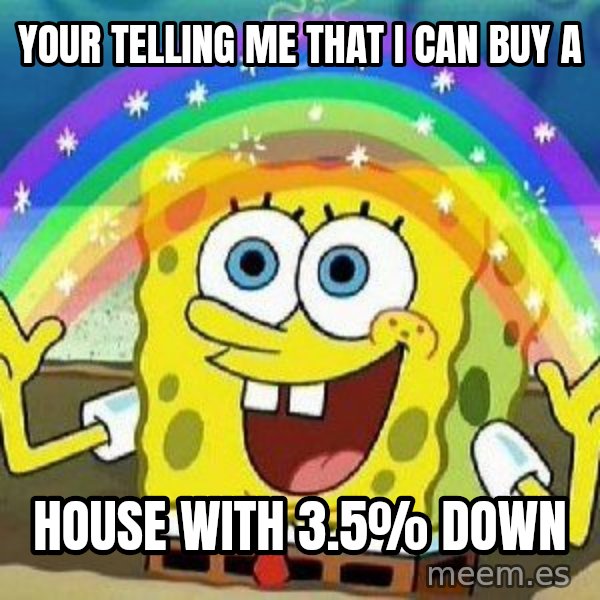 Imagination meme: Your telling me that I can buy a / house with 3.5% down