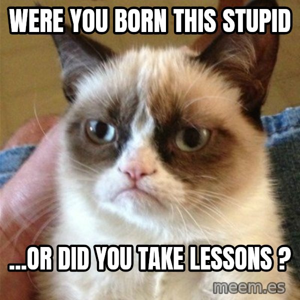 Grumpy Cat  meme: were you born this stupid / ...or did you take lessons ?