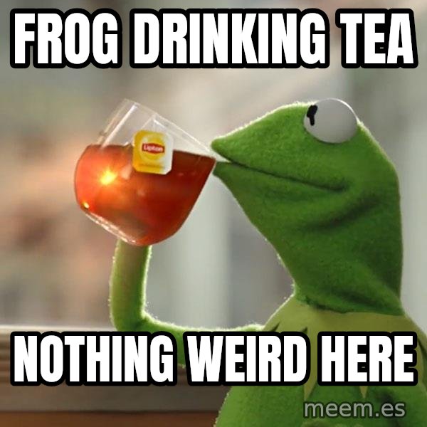 Kermit The Frog Drinking Tea meme: Frog drinking tea / Nothing weird here