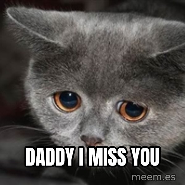Sadcat meme: Daddy I miss you