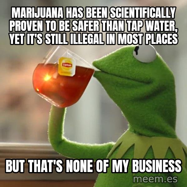 Kermit The Frog Drinking Tea meme: Marijuana has been scientifically proven to be safer than tap water, yet it's still illegal in most places / but that's none of my business
