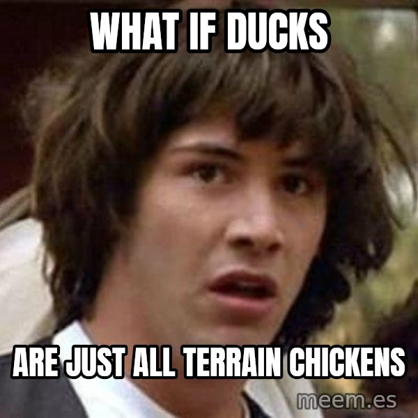 Conspiracy Keanu meme: what if ducks / are just all terrain chickens