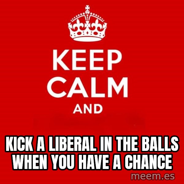 Keep calm and meme: kick a liberal in the balls when you have a chance