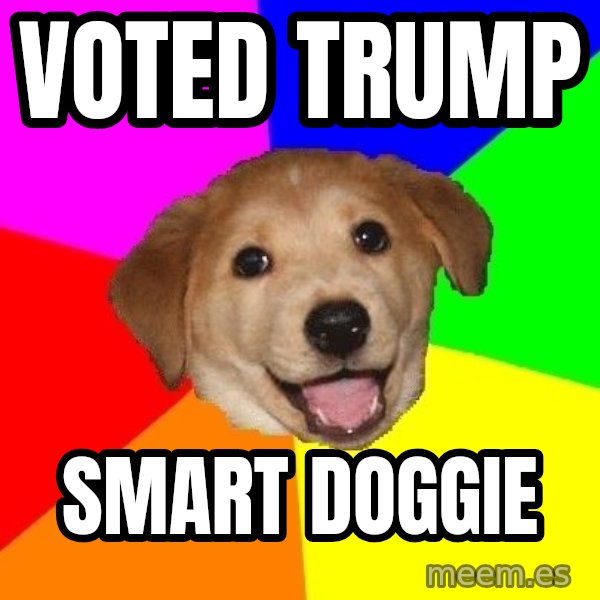 Advice Dog meme: voted trump / smart doggie