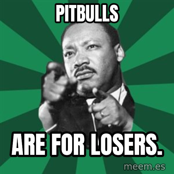 Martin Luther King jr.  meme: pitbulls / are  for  losers.