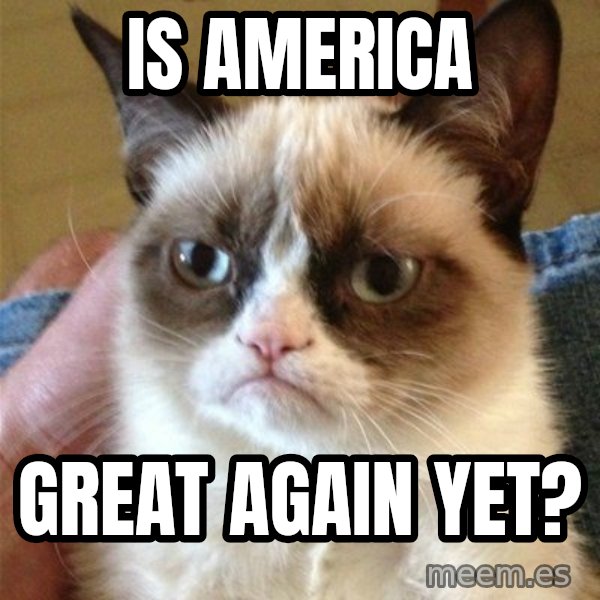 Grumpy Cat  meme: Is America / Great again yet?