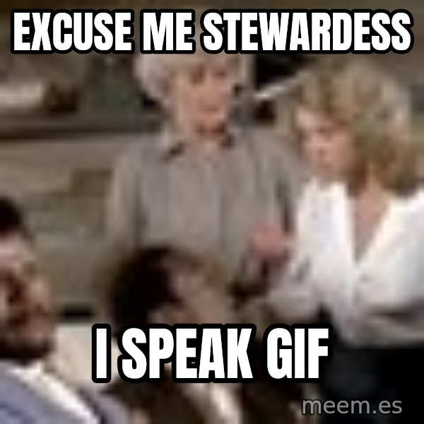 Airplane Jive meme: Excuse me stewardess / I speak GIF