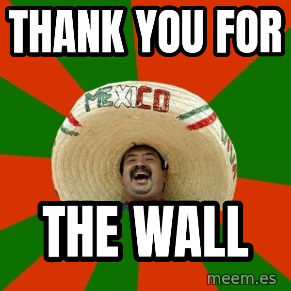 Successful Mexican meme: Thank you for / The wall