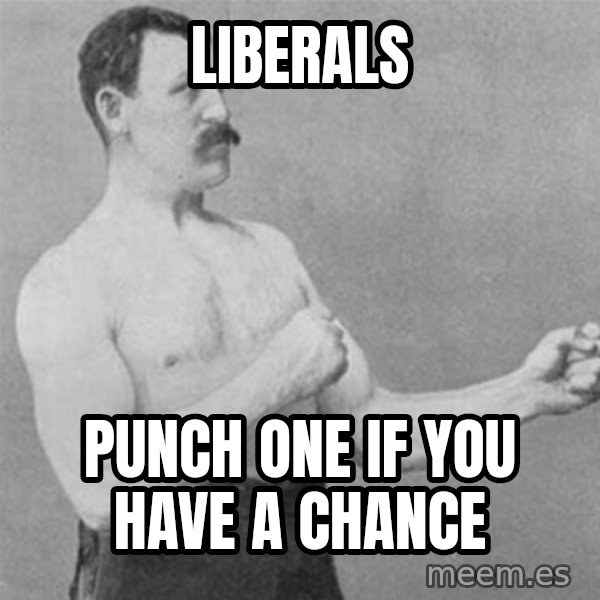 overly manlyman meme: liberals / punch one if you have a chance