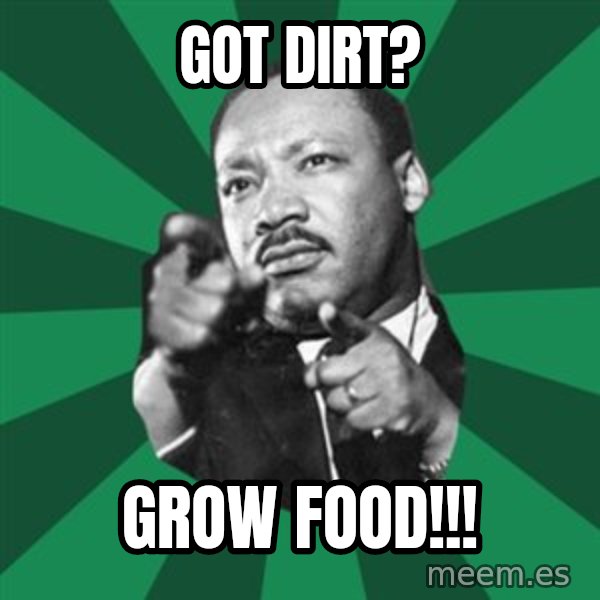 Martin Luther King jr.  meme: got  dirt? / grow  food!!!
