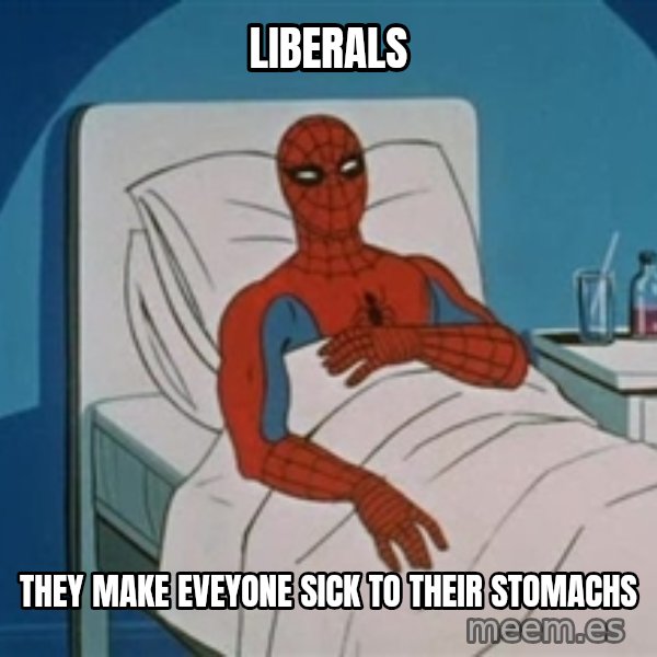 spiderman hospital meme: liberals / they make eveyone sick to their stomachs