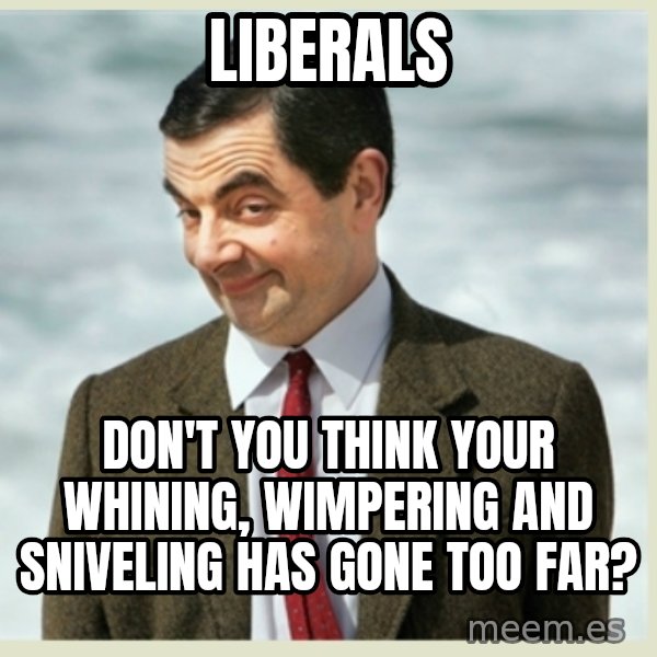 MR bean meme: liberals / don't you think your whining, wimpering and sniveling has gone too far?