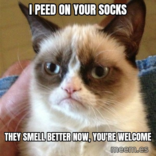 Grumpy Cat  meme: i peed on your socks / they smell better now, you're welcome