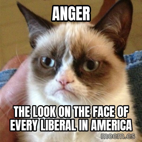 Grumpy Cat  meme: anger / the look on the face of every liberal in america