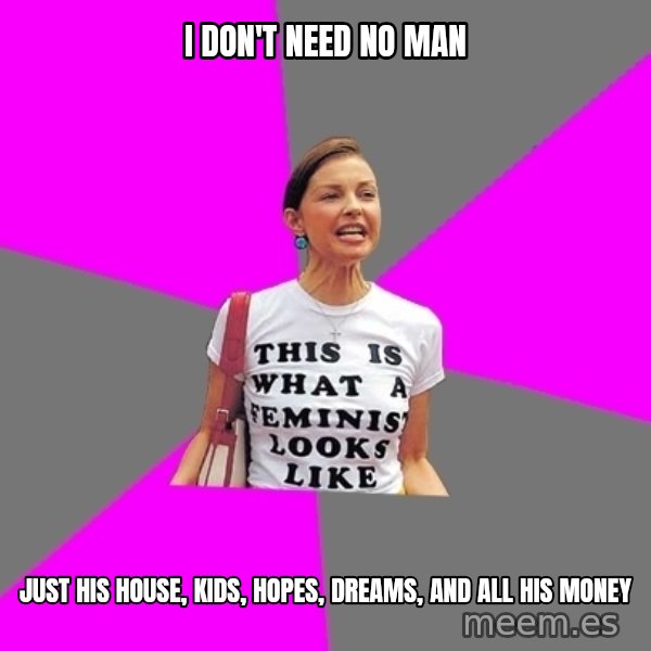 Feminist Cunt meme: i don't need no man / just his house, kids, hopes, dreams, and all his money